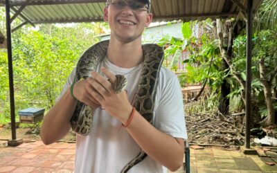 Creepy Crawly Vietnam