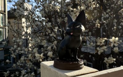 Settling into Seoul – How to Triumph over FOMO in a City that Never Sleeps