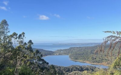 The Joys and Challenges of Hiking: Oceania Edition