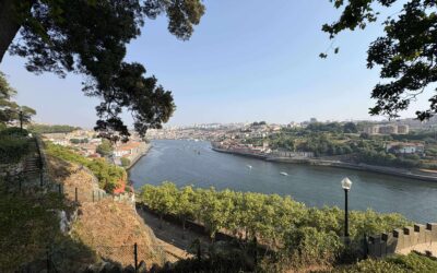 Three Weeks, Eight Towns: A Practical Guide of Portugal