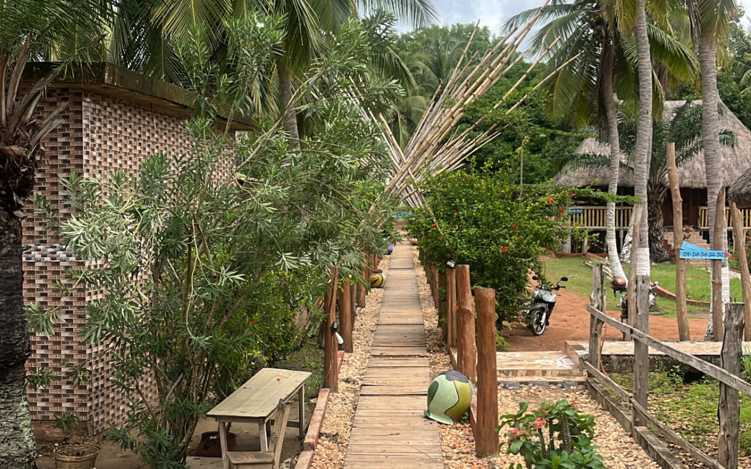 Reflecting on my time in Benin