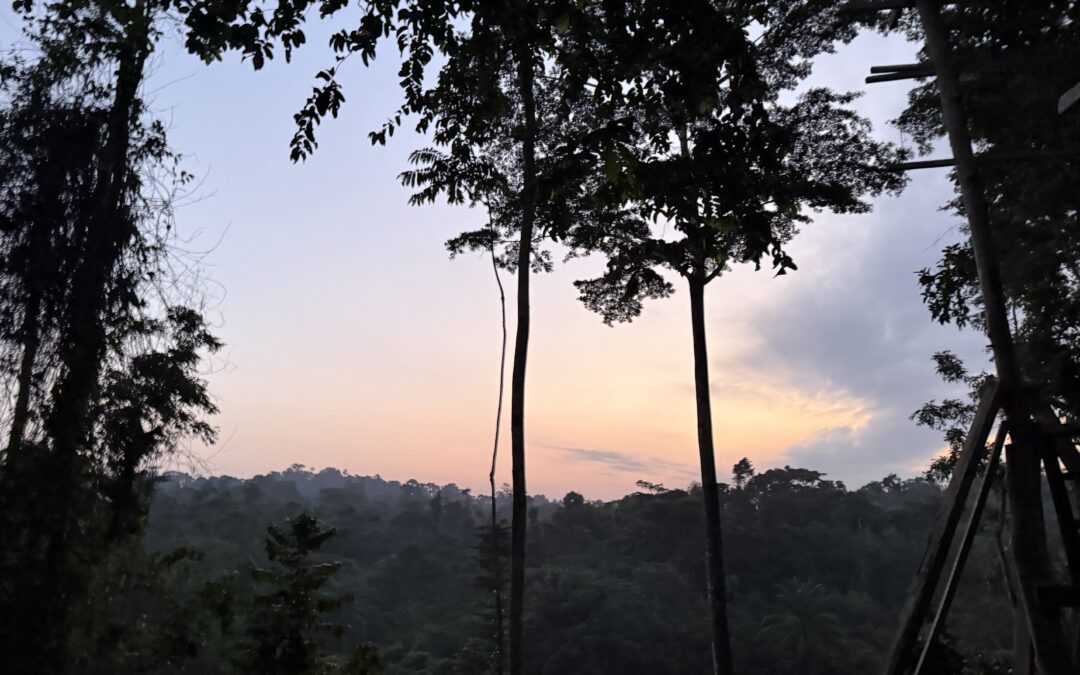 Going to Ghana: Tips and Advice for Studying Abroad