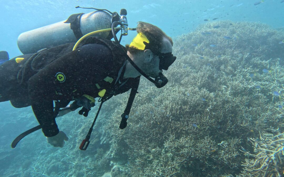 Diving into the Unknown