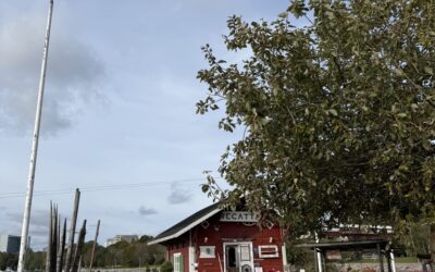 Conquering The “Study” in Study Abroad