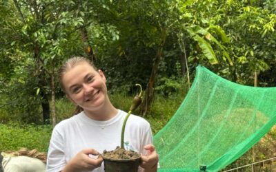 Reflections on Service-Learning in Krabi