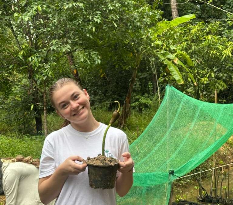 Reflections on Service-Learning in Krabi