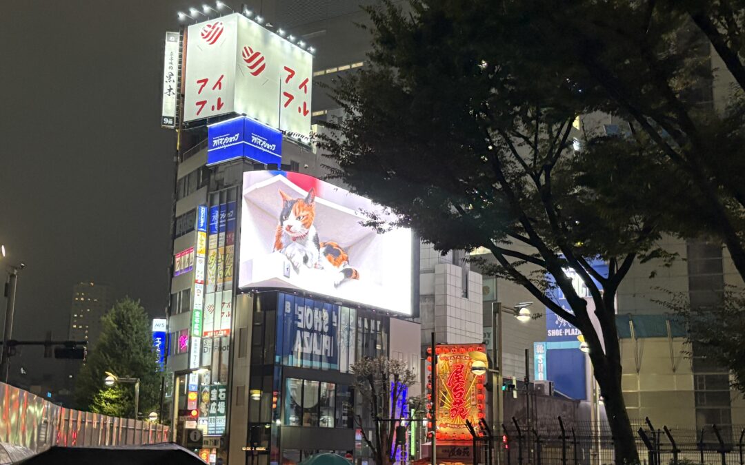 道に迷ったら、方向を選んで、歩き続けて ~ If You Get Lost, Pick a Direction and Keep Walking