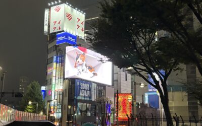 道に迷ったら、方向を選んで、歩き続けて ~ If You Get Lost, Pick a Direction and Keep Walking