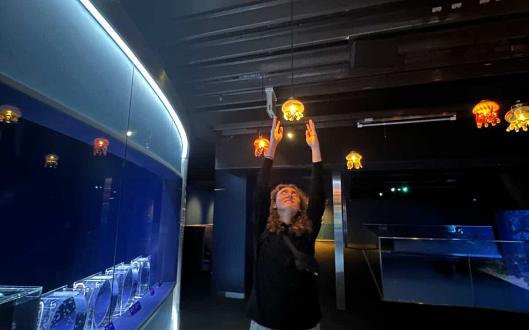 大事な記憶 ~ Important Memories