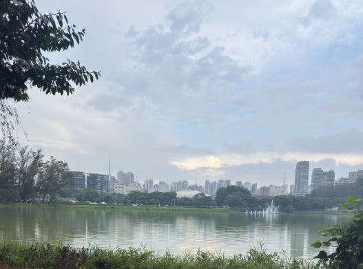 Overwhelmed, Amazed, and Loving It: My First Month Abroad in Brazil