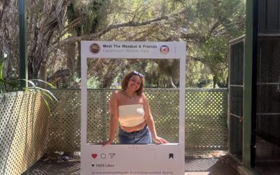 Second Time Around: Same Place, Better Vibes